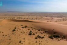 تنزه بلا قيود في الطوقي: محمية الملك عبدالعزيز تفتح أبوابها للجميع.